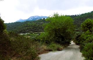Fondo rustico  Avenida monte pego-dénia. Proyecto de 8 parcelas rústicas pol. 1 parcela 130 racons de peg