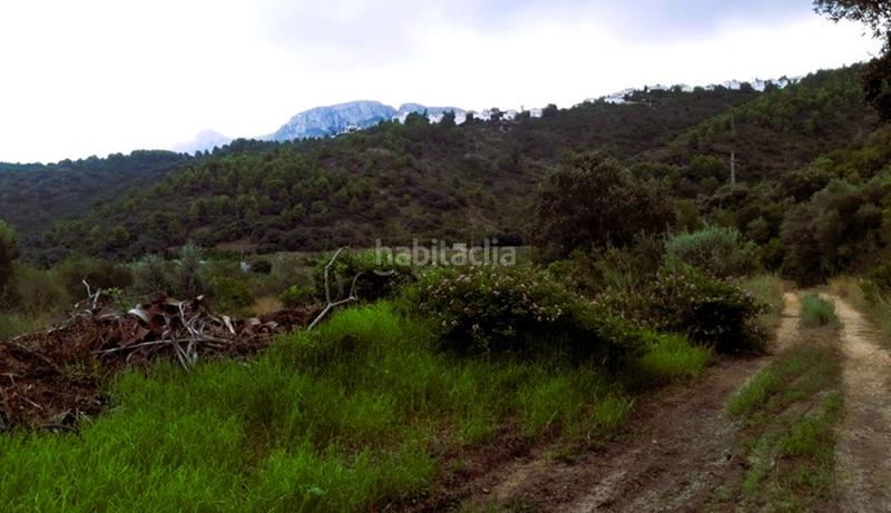 Foto 1f51641c-c29f-45d6-aacd-79af7e0860ae. Landgut in Devessa - Monte Pego Dénia