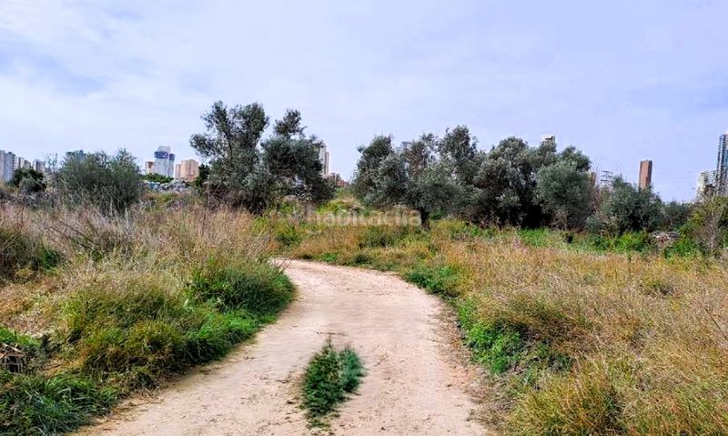 Foto c489d10a-5b65-4c3b-95a3-cd5131da8a55. Terreny residencial a Rincón Bajo Benidorm