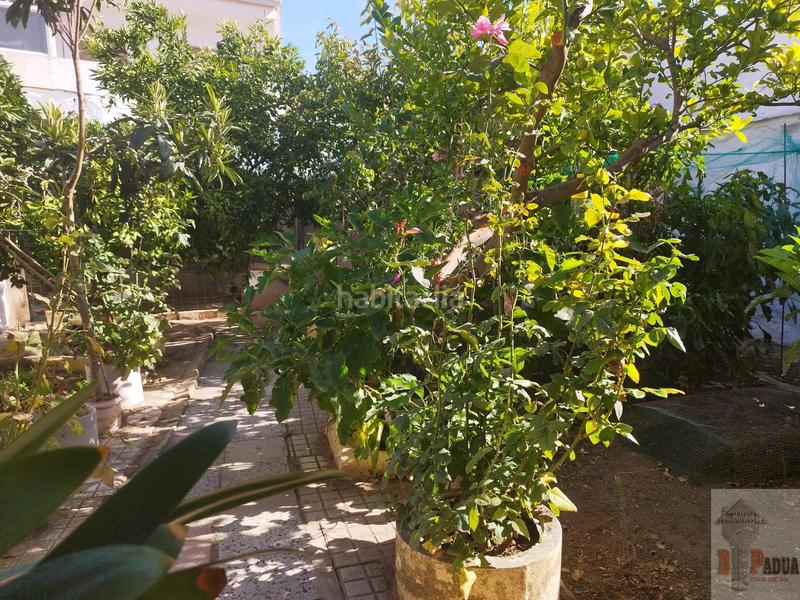 Foto 340b4daf-f3bc-4e21-ab79-c88a4ce876d3. House with parking in Campillos