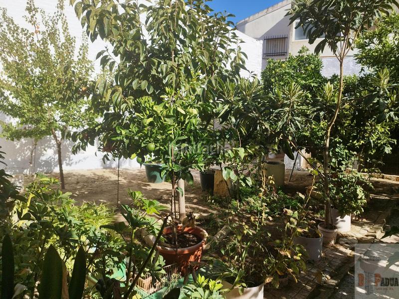 Foto e5b646c4-8c1b-4bd6-9482-226abac05dd4. House with parking in Campillos