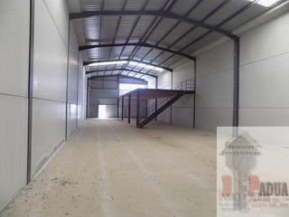 Bâtiment à usage industriel à Campillos. Campillosnave