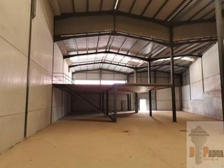 Bâtiment à usage industriel à Campillos. Campillosnave