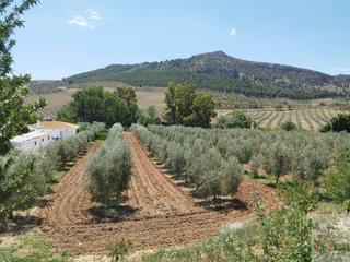 Chalet in Teba. Tebachalet