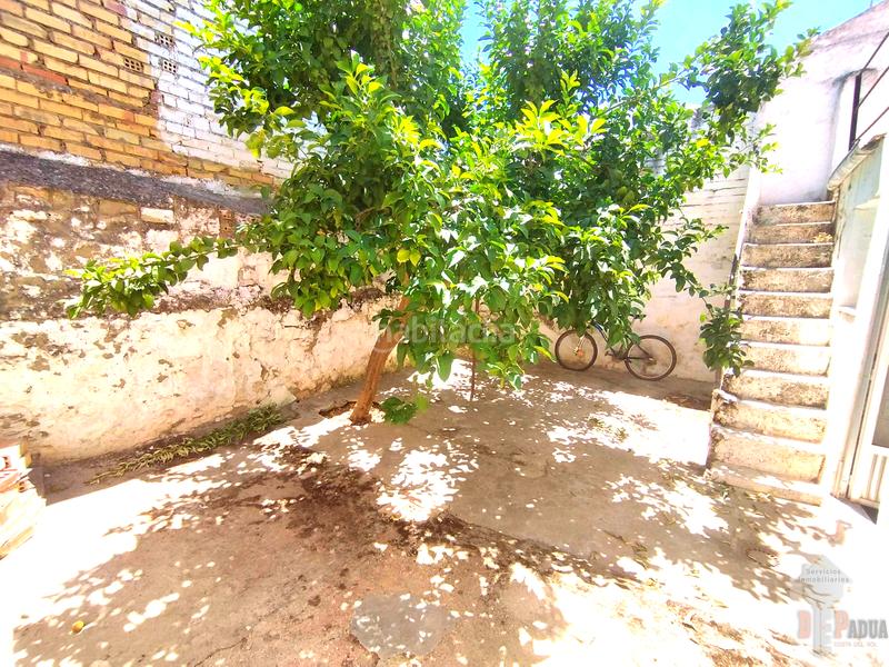 Foto 4d79309f-d867-4458-9f1b-83e626bc3890. Maison dans del saucejo 66 dans Almargen