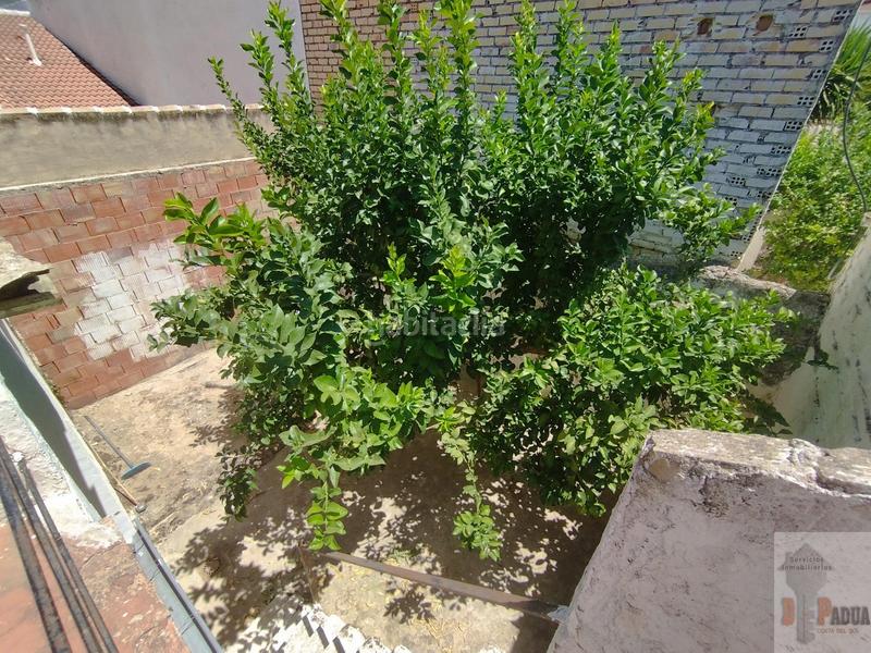 Foto cf4443d3-2d03-4227-bb05-72facf0f666b. Maison dans del saucejo 66 dans Almargen