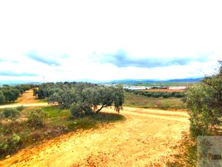 Residential Plot in Campillos. Campillosterreno