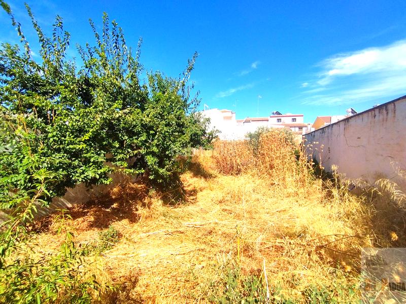 Foto 2765f6ac-9b96-4803-b93c-62e5c61db6e6. Maison avec parking dans Campillos