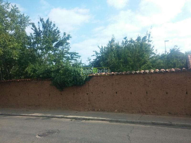 Foto c8ccbb41-ddfc-4577-ba38-eeae48a999c5. Terreny residencial a Armunia León