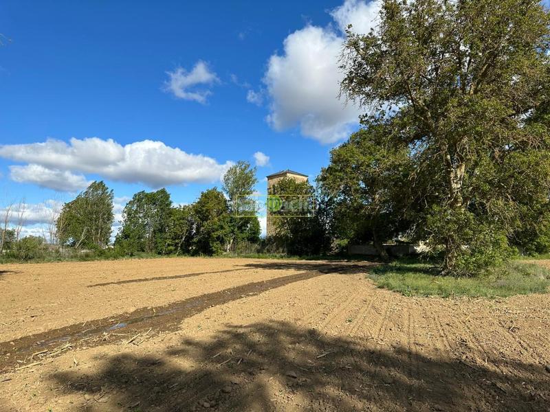 Foto 110a1cb1-4261-4841-907a-66b74d06ff73. Finca rústica a Valdepolo