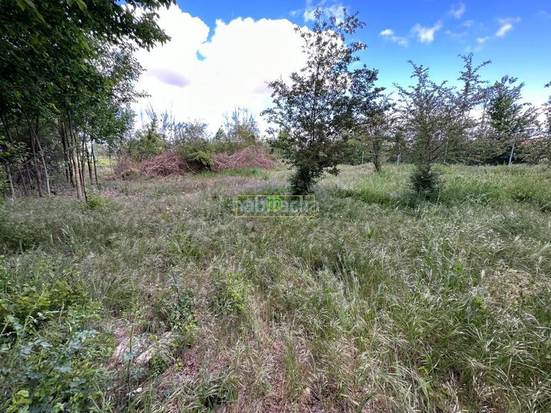 Foto 798f86c2-4ff0-454e-8a18-a20ed732b8cb. Finca rústica a Valdepolo