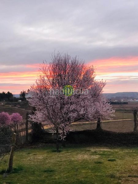Foto 5544430b-9294-4074-9a58-048a7f9b5267. Casa amb calefacció aparcament a Villaturiel