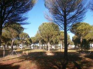 Terreny residencial a Calle el raso de portillo 24. Parcela urbana en urbanización aldeamayor golf en venta con todo
