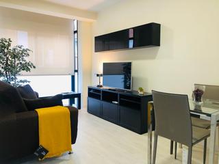 Alquiler Piso  Alustante. Piso en alquiler en chamartín  prosperidad, 1 dormitorio.