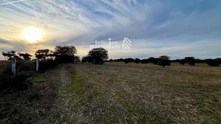 Propriété à Zamayón. Gran oportunidad!! finca rustica de secano en zamayón, salamanca