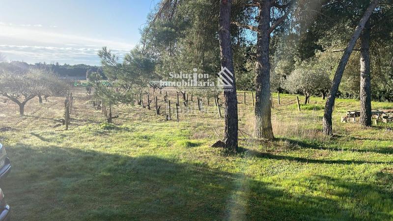Foto a526d953-9035-4b76-a917-66fa24907486. Chalet gran chalet independiente , con amplia parcela, piscina y bodega!! en Valdunciel