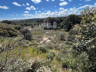Finca rústica a Terradillos. Parcela rústica en venta en la zona de terradillos!!