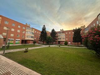 Pis a Bernardo dorado 2. Gran oportunidad! piso de 3 habitaciones con garaje en zona tran