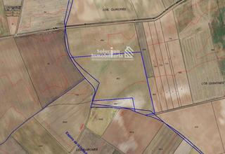 Finca rústica a Cañizal. Se vende parcela rústica en cañizal zamora