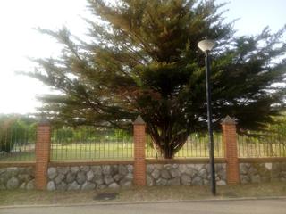 Terreny residencial  Calle gardenia