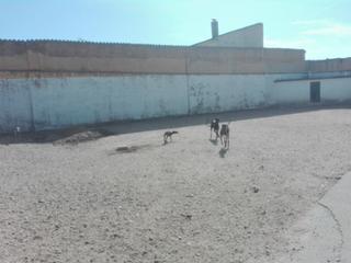 Terrain résidentiel  Paseo ribera