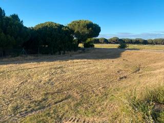 Terreny residencial a Calle tamarizo 51. Se vende terreno urbano