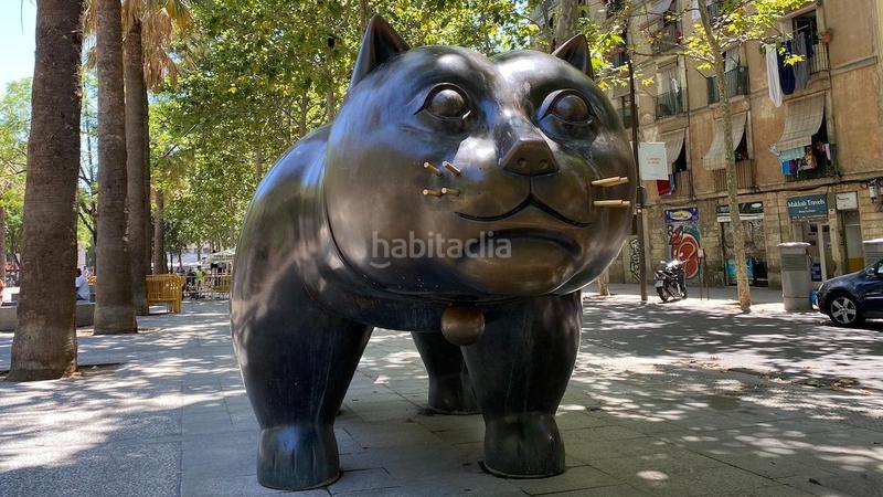 Foto 294df65c-466a-44f7-99f2-8d24ea6486c6. Attique dans Raval Barcelona