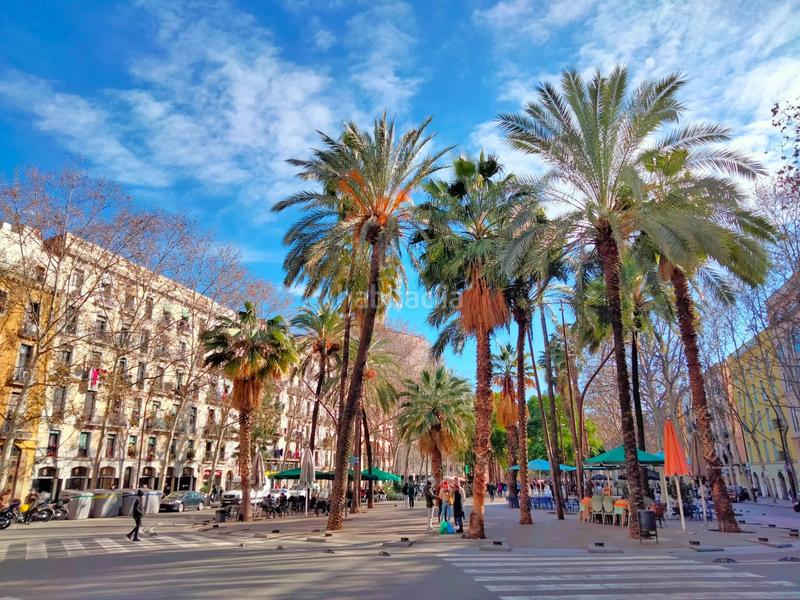 Foto fe28ada6-60ad-424e-b8f3-439e5e7dbaca. Attique dans Raval Barcelona