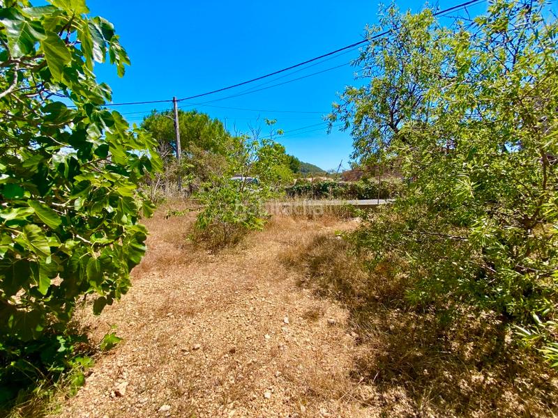Foto 59120c48-e066-46c9-a0df-03e41140cdb3. Finca rústica a Calvià poble Calvià