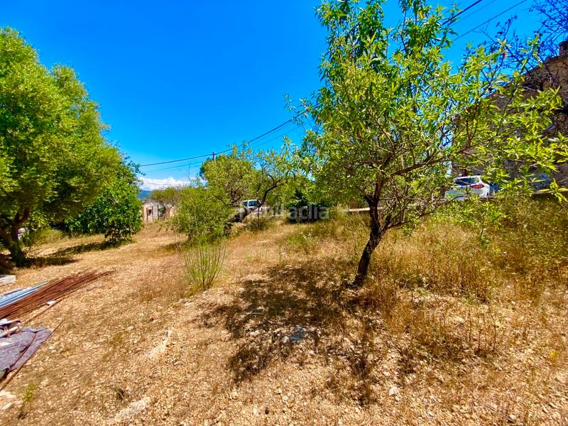 Foto 74dd7966-ab7b-4980-86d4-66fcb7d2cd07. Finca rústica a Calvià poble Calvià