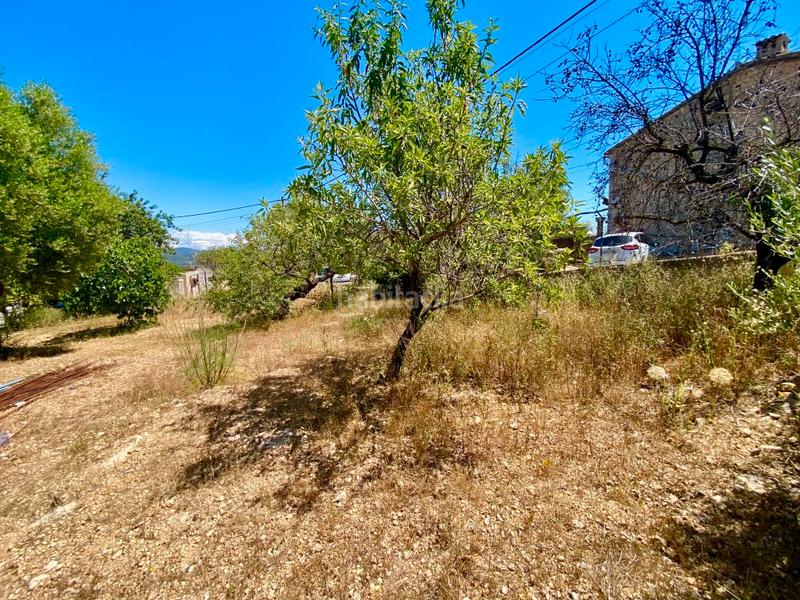 Foto 8e2357ca-0c2d-4b58-9213-4660529b976f. Finca rústica a Calvià poble Calvià