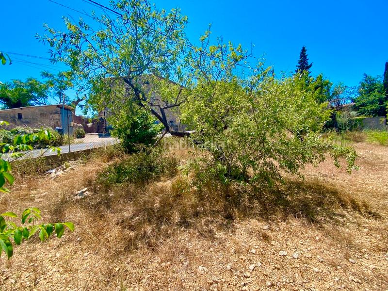 Foto 8fa2781f-0626-4aa8-888c-57706b7932b7. Finca rústica a Calvià poble Calvià