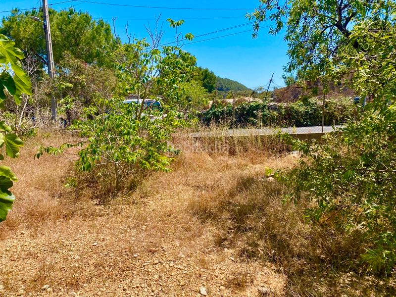 Foto c9b75bf7-6745-4c00-b4c8-75556da57b31. Finca rústica a Calvià poble Calvià