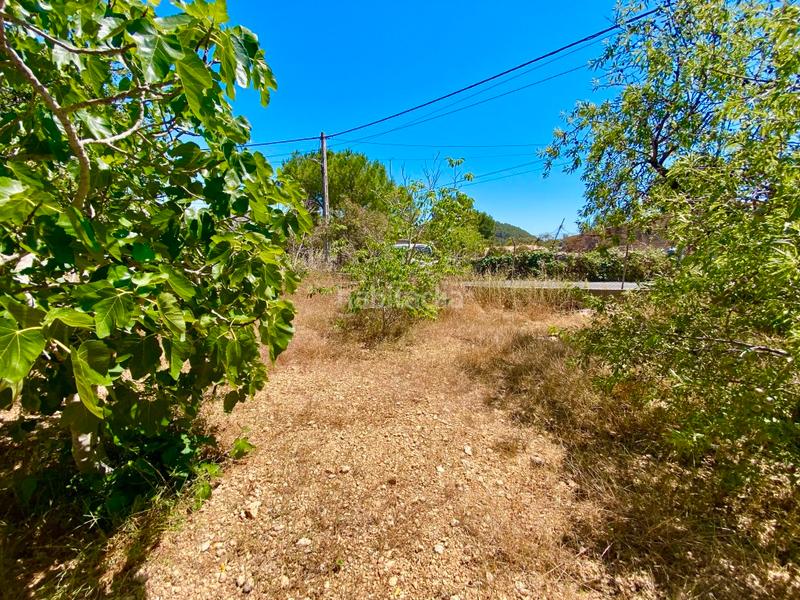 Foto ce3e51f2-d247-4c6f-904d-f8897c3af33b. Finca rústica a Calvià poble Calvià