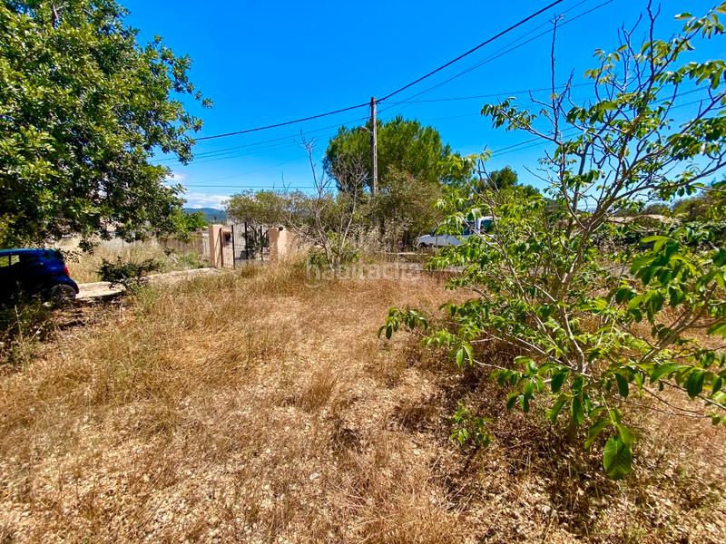 Foto d678de39-cc75-45f3-b2f0-0dbfbb59c356. Finca rústica a Calvià poble Calvià