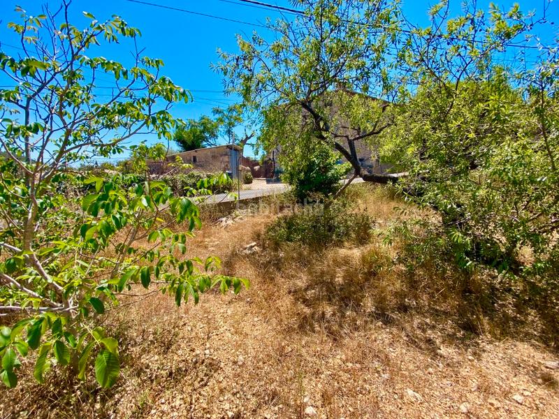 Foto e932a9b5-ef9a-408e-971b-44580af33684. Finca rústica a Calvià poble Calvià
