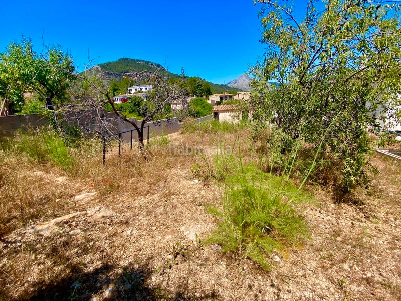 Foto ed4212ab-5b1d-42e8-9f76-3b09cff74a4c. Finca rústica a Calvià poble Calvià