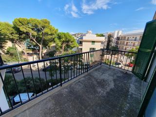 Appartement à Santa Ponça. Investment opportunity!  spacious secondline apartmet with sea v