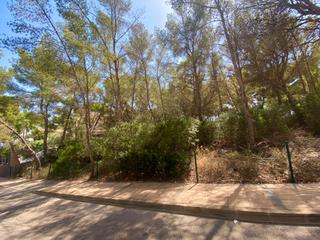 Finca rústica en Sol de Mallorca. Plot for sale in sol de mallorca  portals vells  1,212 m2