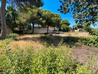 Finca rústica a Portals Nous. Plot palmanova with sea views located in a quiet area