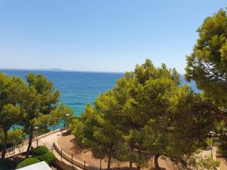 Apartament a Palmanova. Beachfront splendour iconic building apartment in palmanova with