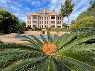 Apartament a Portals Nous. Apartment for sale portals nous  exclusive residence