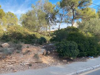 Finca rústica a Cala Vinyes. Double plot for sale cala viñas with partial sea views