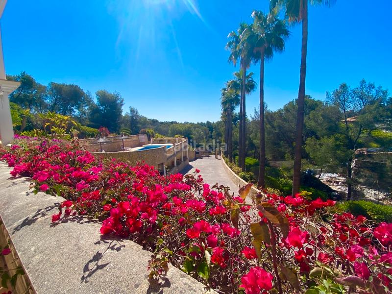 Foto a7e7c855-b59f-48f0-bea7-5d49a640fb74. Apartamento exclusive residence apartment with private terrace located in Portals Nous en Calvià