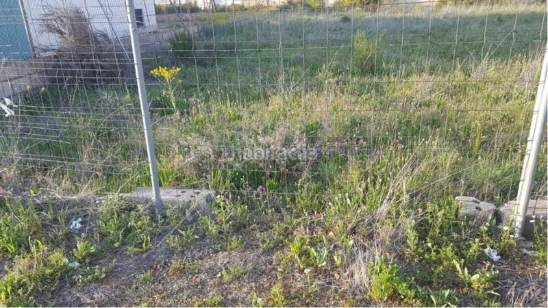 Foto e7d91d69-a56c-4d3d-9ce4-71a4765a3e98. Terreny residencial a Valdefresno