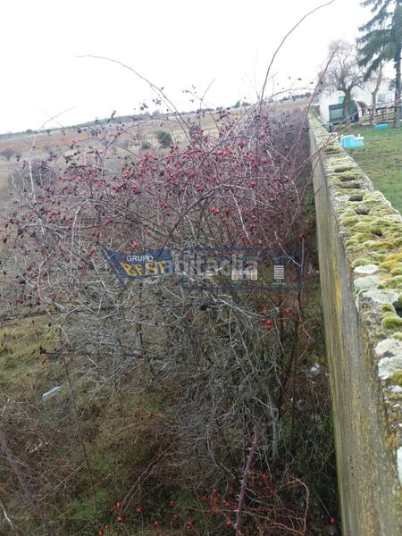 Foto 226085f5-3510-4016-9309-f91c8c62b54e. Casa  unifamiliar en ardoncino. en Chozas de Abajo