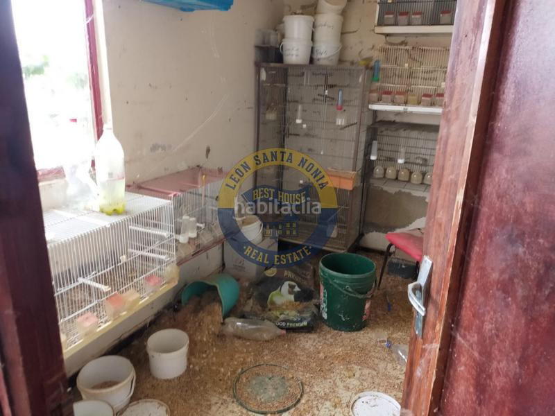 Foto 0fe7e125-988a-4ae7-8a54-5d5136343b61. Fabrikhalle in Valverde de la Virgen