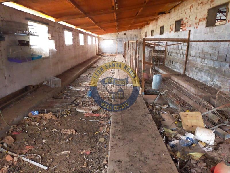 Foto 4a2dc6ee-8b9c-4b85-b8e2-7b932a710f33. Fabrikhalle in Valverde de la Virgen