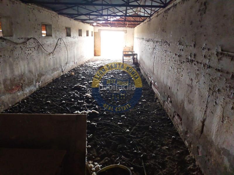 Foto 960c7bf4-5b5b-4ae1-ba2c-85fdec4240bc. Fabrikhalle in Valverde de la Virgen