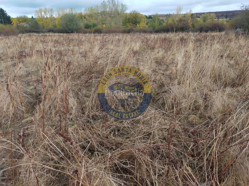 Foto b6dff70c-4637-49e3-bc2d-18f517bfda3c. Fabrikhalle in Valverde de la Virgen